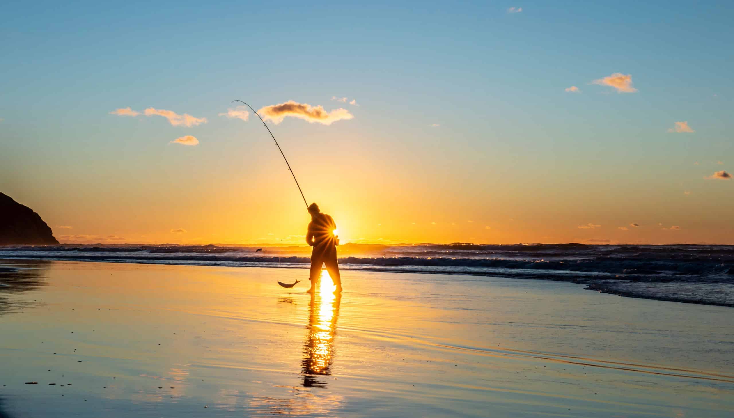 Hameçon Pro Soldes Magasin -Hameçon Pro Soldes Magasin Fishing Trips NSW South Coast image credit destination nsw